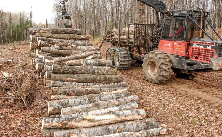 Michigan’s expanding forest products industry contributes more than $26 billion to state’s economy