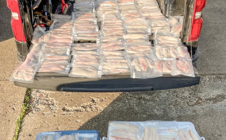 Michigan DNR conservation officers seized an overlimit of 34 walleye Friday from a group of anglers who were renting a property in the city of Detroit for a fishing trip on the Detroit River.