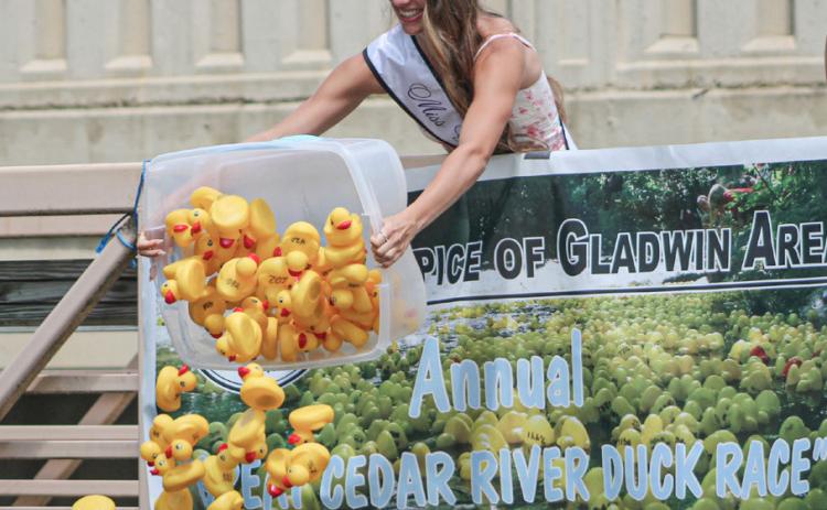 Hospice of Gladwin Area Duck Race July 11
