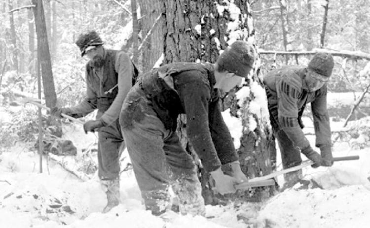 A LOOK BACK IN TIME | LOGGING IN GLADWIN COUNTY
