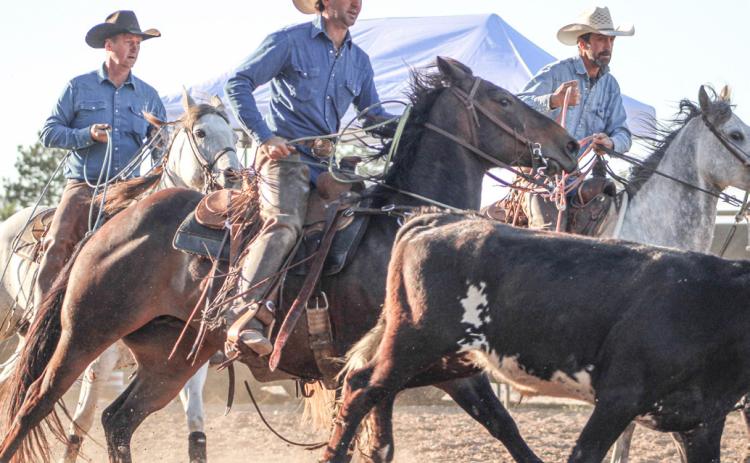 Rodeo packs ‘em in at Fairground