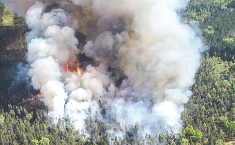 Columns of smoke and flames cross the landscape in Wexford County as part of the 136-acre Fife Lake Outlet Fire on May 28, 2023.