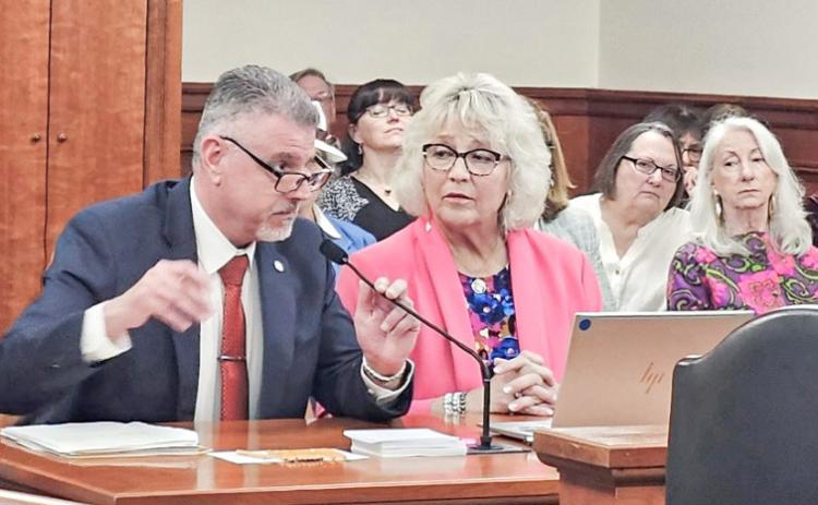 Baldwin Township Clerk Cathy Pittsley testifying in support of HB 4356, introduced by Representative Mike Hoadley, a bill that would require the Secretary of State to remove certain electors from the qualified voter file who have not voted in 10 years or more.