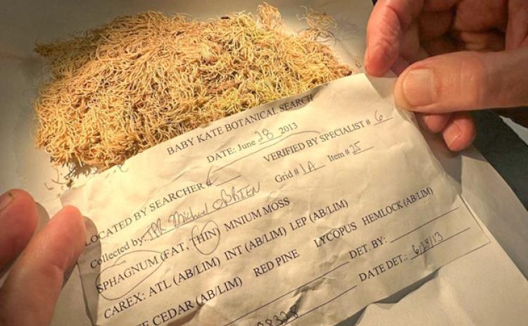 Pieces of moss collected as evidence in the investigation of the 2011 murder of 4-year-old Katherine “Baby Kate” Phillips in Mason County. FIELD MUSEUM
