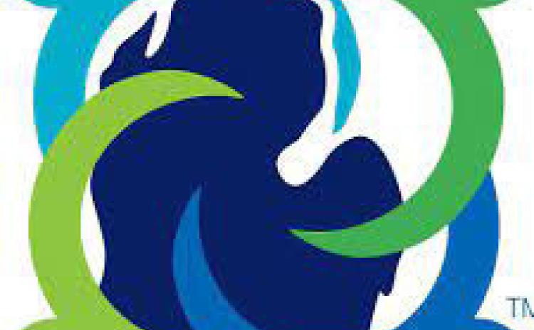 Dallas Rau hired as Executive Director of the Great Lakes Bay Mental Health Partnership
