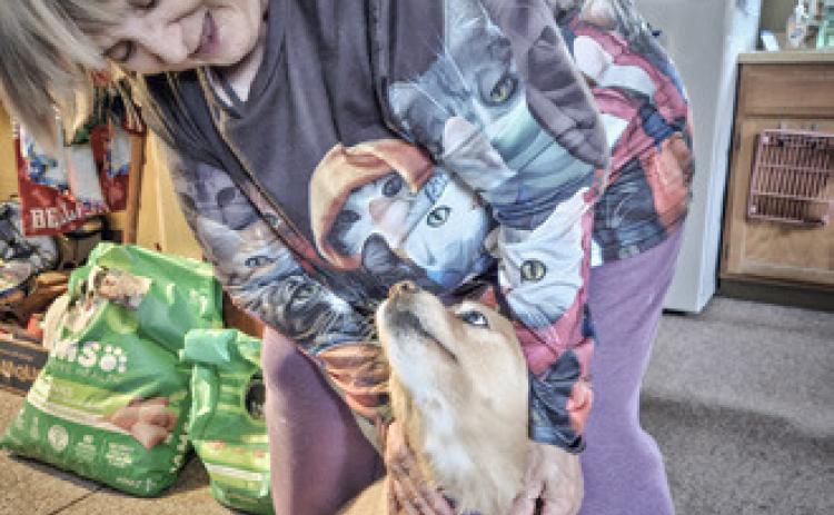 CoA PETS Program provided over 3,500 meals to seniors’ pets