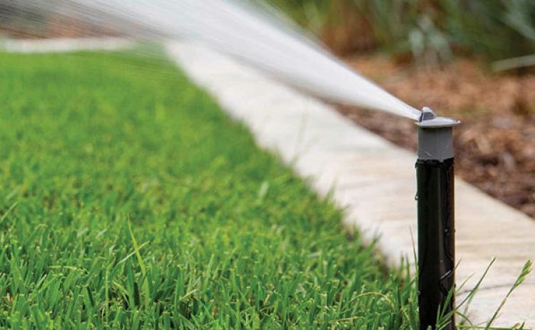 How to Grow a Greener Lawn