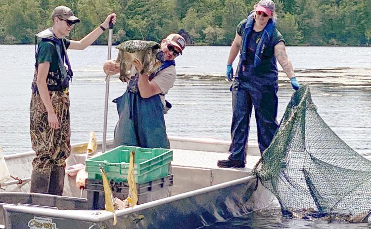 DNR SURVEY FISH ON WIGGINS LAKE