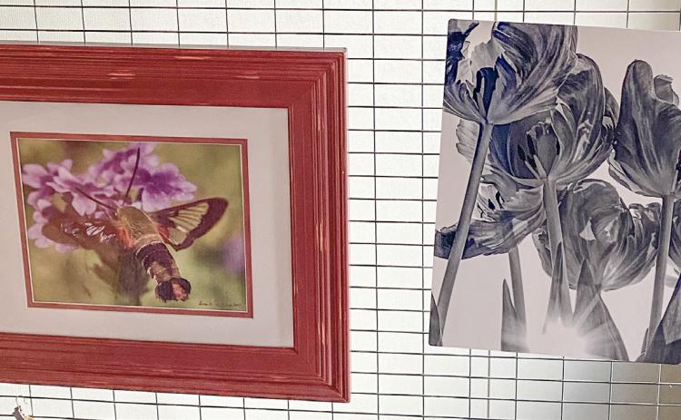 Check out the artwork of Lora A. Perkins, President of the Gladwin Area Artist Guild in the lobby of the Gladwin County Record and Beaverton Clarion office located at 700 E. Cedar Avenue.