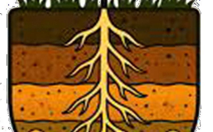 “Soil. Where it all Begins”