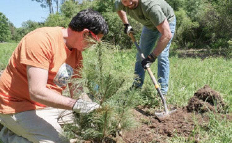 Stewardship Series event with Little Forks Conservancy