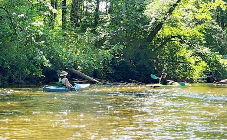 Little Forks Conservancy offers free conservation program for landowners