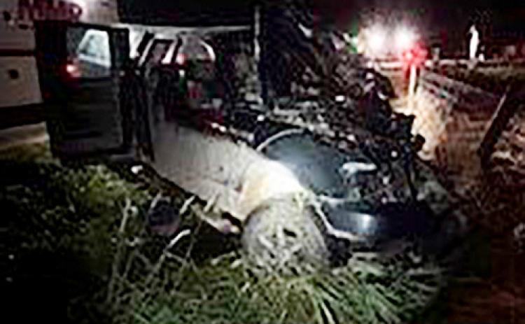 Buggy crash results in the death of a horse in Clare County