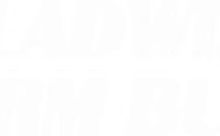Alt Text for Image