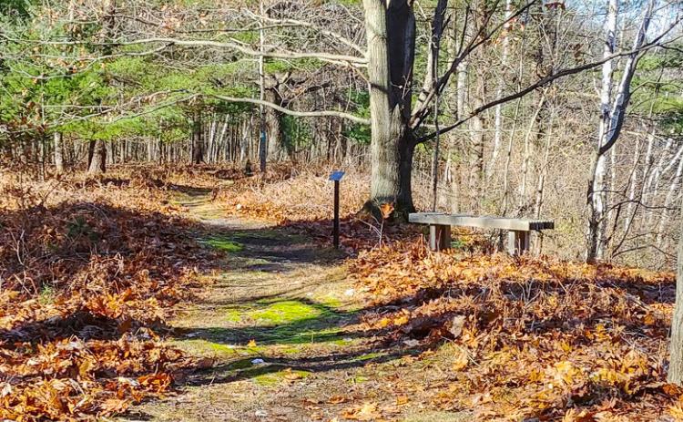 To learn more about the Little Forks Conservancy, visit www.littleforks.org.