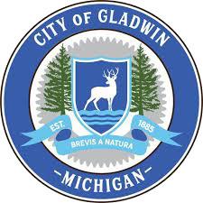 Gladwin City Council discusses timber violation