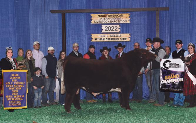 Little Cedar Cattle Co. bull wins ‘Supreme Champion’