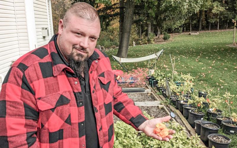 Howell pepper grower Ryan Karcher grows Friar’s Fury chilis in pots in his backyard. Inset photo, the orange coloring of Friar’s Fury indicates a high maximum heat level. DANIEL SCHOENHERR