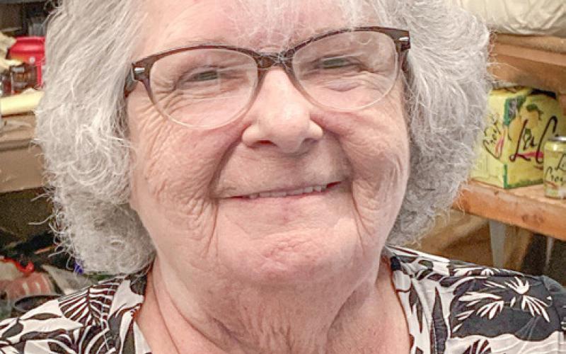 Debra L. Wentworth
