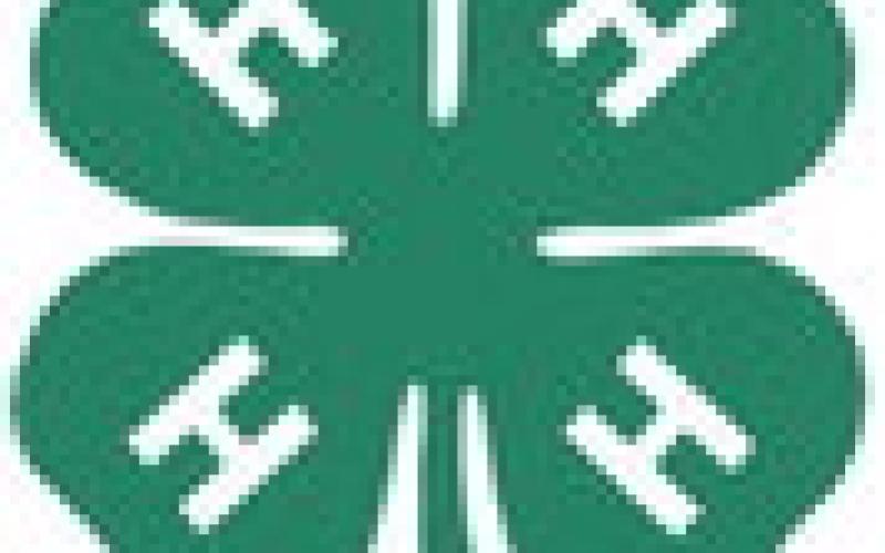Gladwin County 4-H Fish Fry Fundraiser