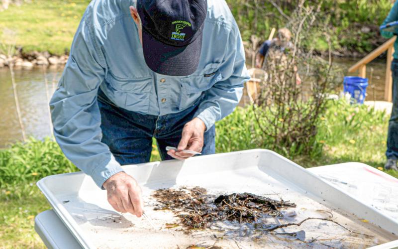 Volunteers play a vital role in citizen science projects like this.