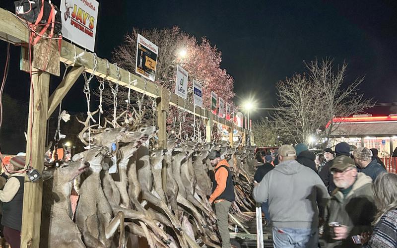 Buck poles in Gladwin County