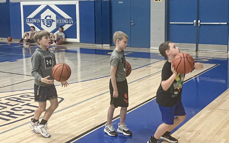 Gladwin hosting summer sports camps