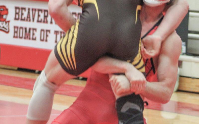 Regional champs Roe, Brasseur, Demory lead locals to state finals