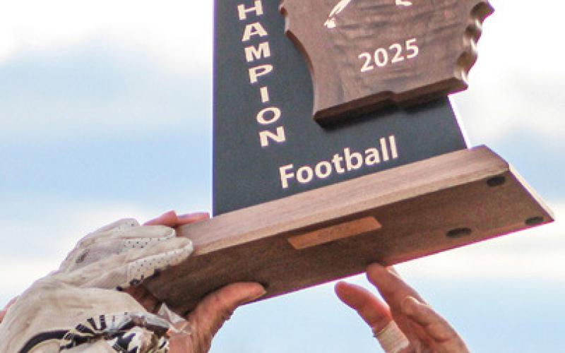 Ogemaw rolls to grid district title