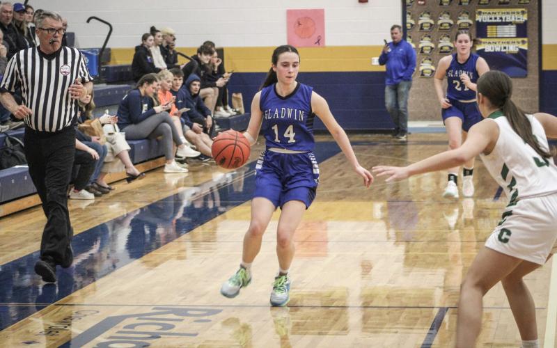 Gladwin’s Abby Robinson runs into a roadblock on the way to the hoop during last Wednesday night’s loss to Clare in the Division 2 district semifinals at Standish.