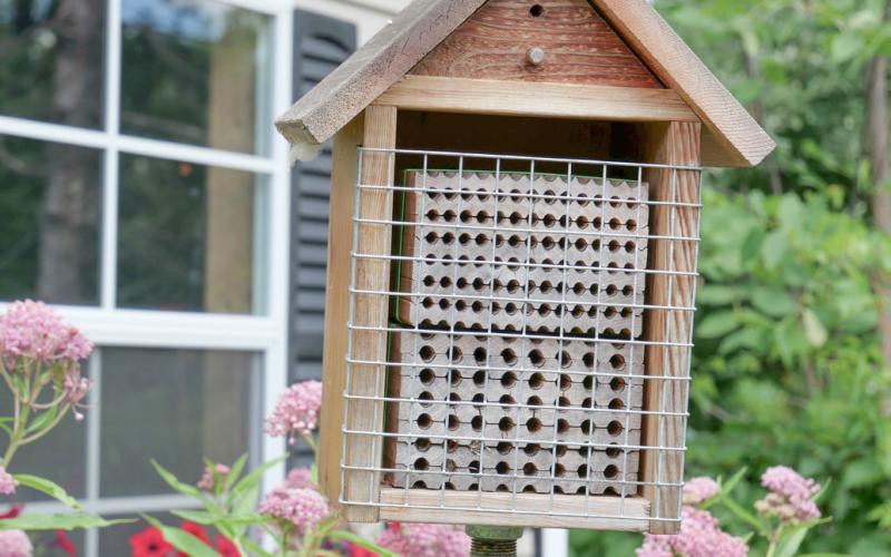 The Stewardship Series, in the first workshop, will teach you how insect homes promote native pollinators, how to construct and maintain them, and resources for implementing them on their own property.