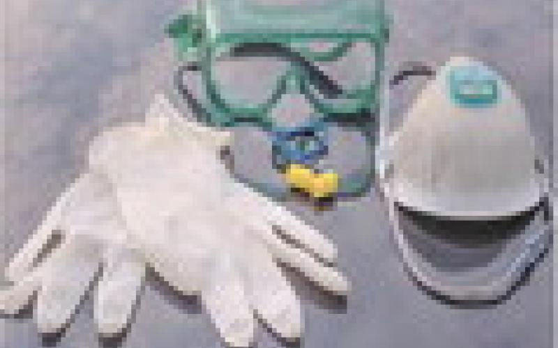 The bat removal process for homeowners