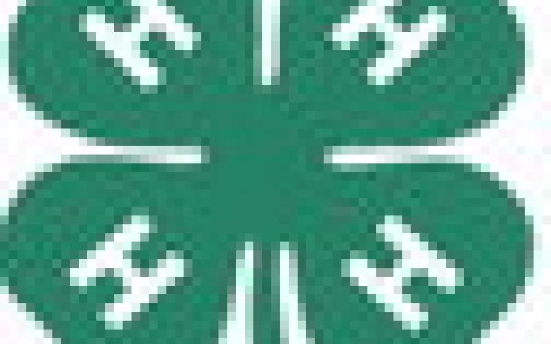 4-H Winners 2024