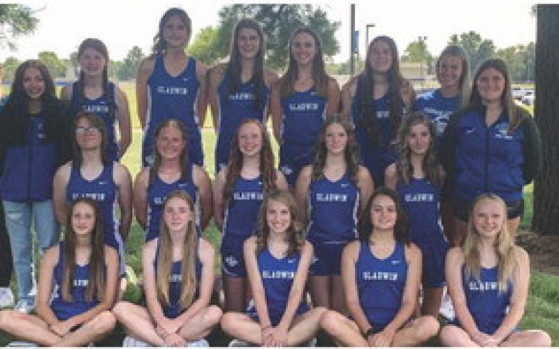 Gladwin Girls Cross Country