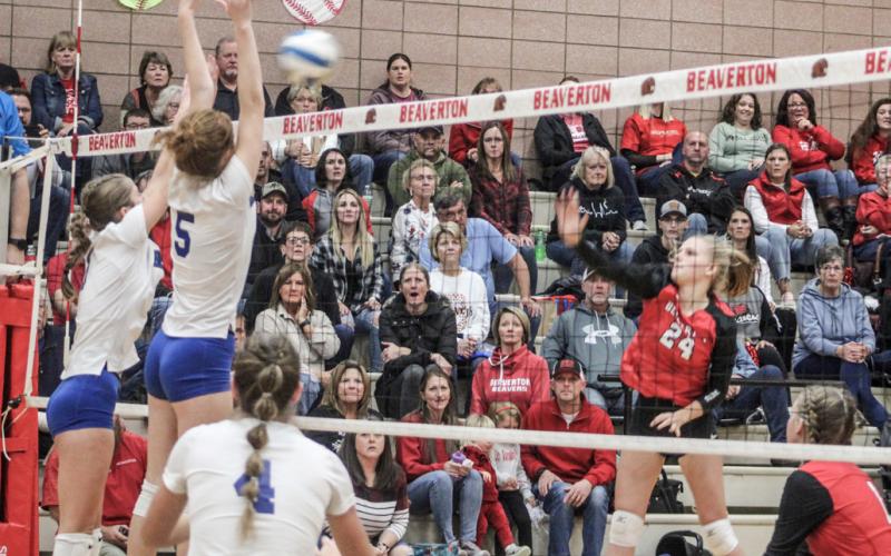 Beaverton’s Harlie Lamson tries to sneak one past the Beal City block during Thursday night’s district championship match.