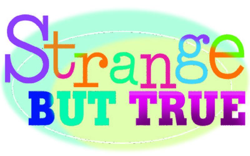 Strange BUT TRUE