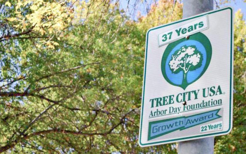 Communities can become “Tree City USA” certified by demonstrating dedication to effective urban forest management.