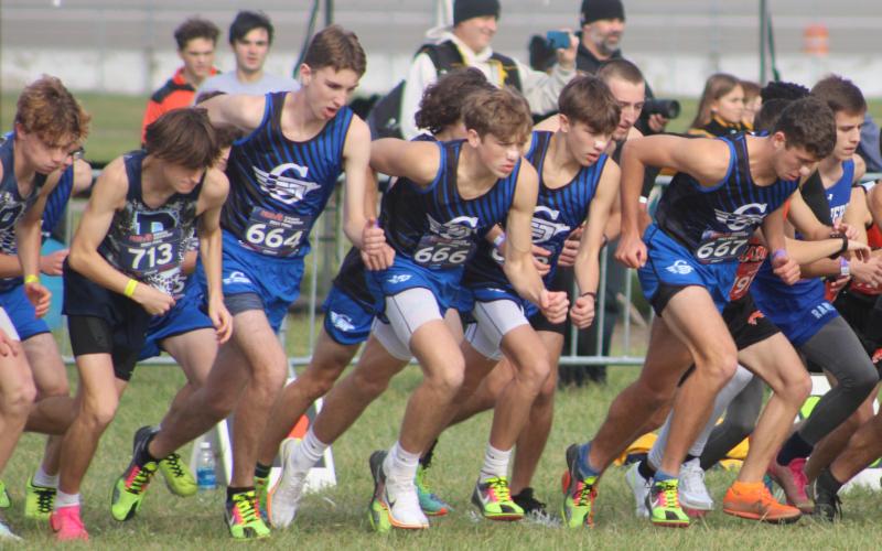Pictured are Gladwin Boys’ cross country leaving the starting line at the Division 2 state meet at Michigan International Speedway.