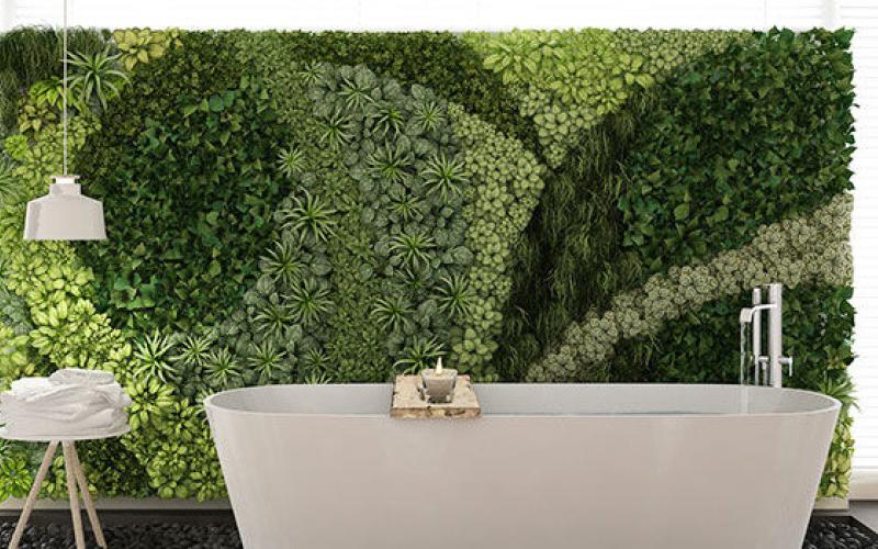 How to Build a Living Wall