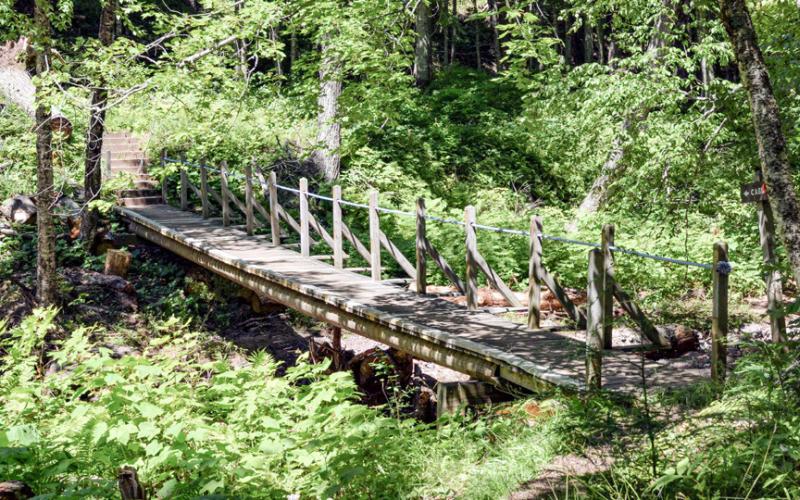 A wooden bridge along a trail in a lush, green forest at the Porcupine Mountains is shown.