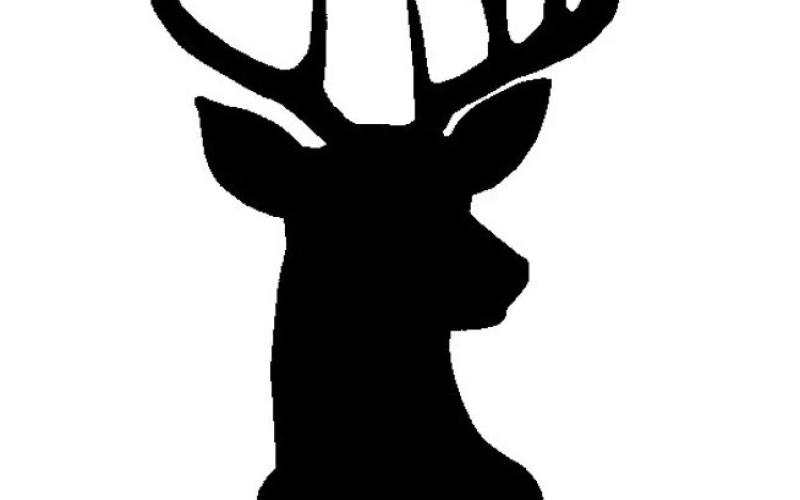 Second annual Buck Pole at Calhoun Campground slated