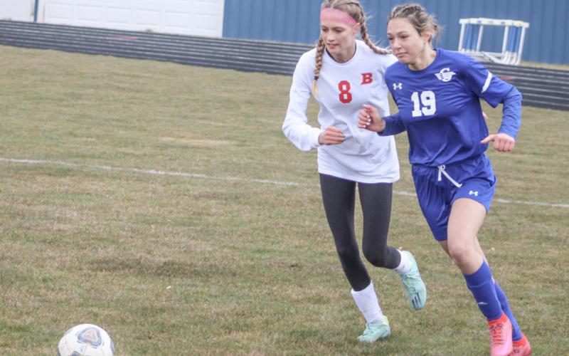 Gladwin soccer team falls to league leader