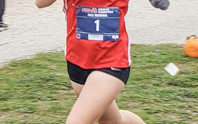 Tessa Wohlschlegel