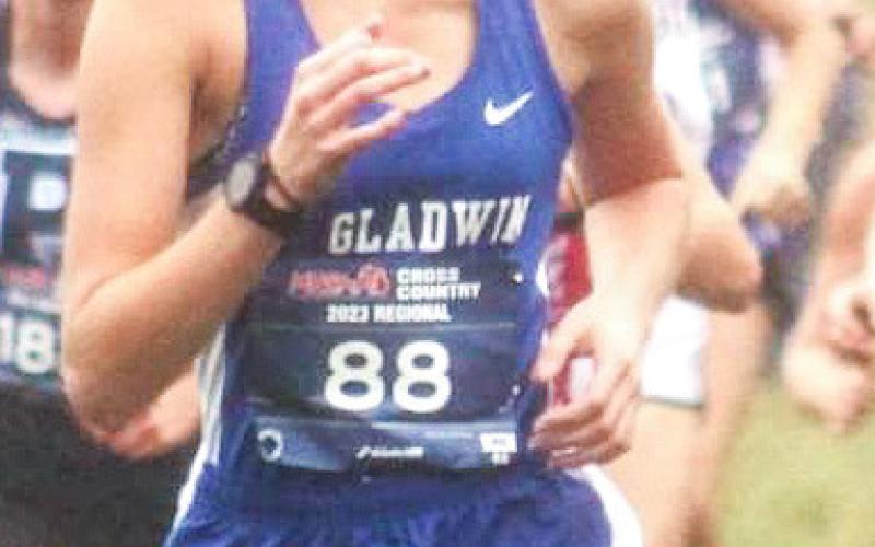 Abby Robinson