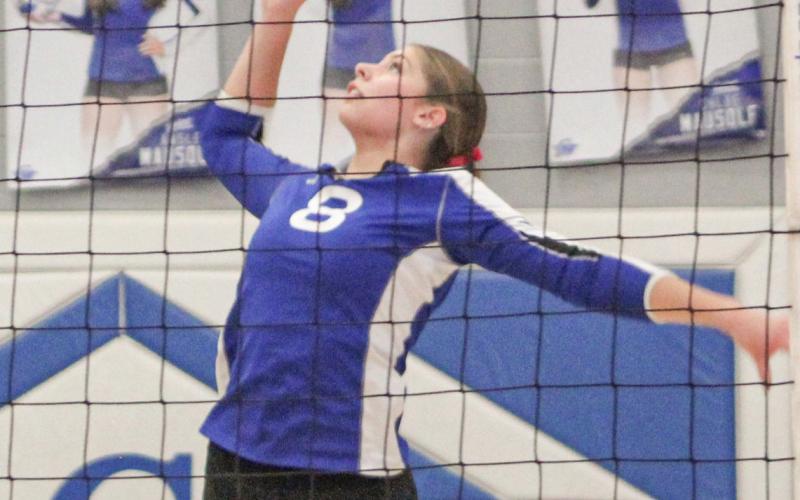 Maddy Pagel and the Gladwin volleyball team played well in last Wednesday’s Division 2 district semifinal battle with Alma, but came up short and lost in four sets.