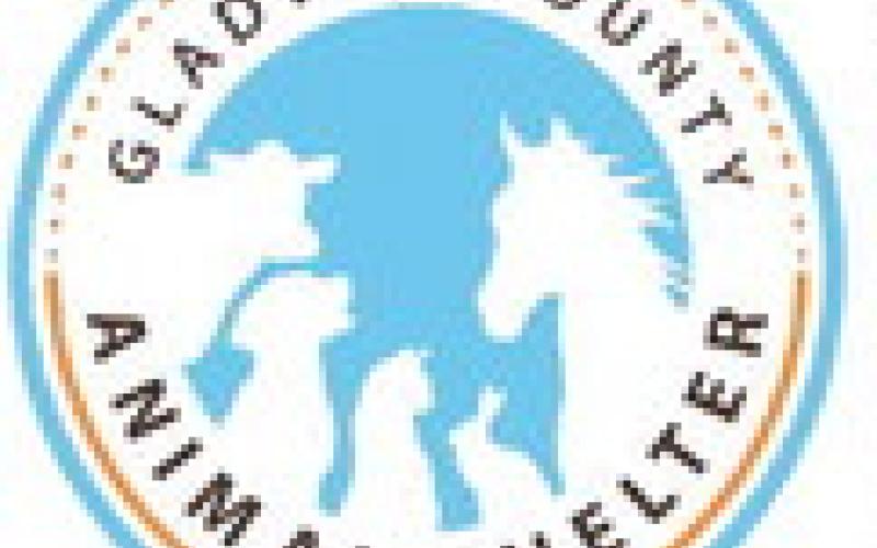 Gladwin County Animal Shelter seeks new Advisory Committee Members