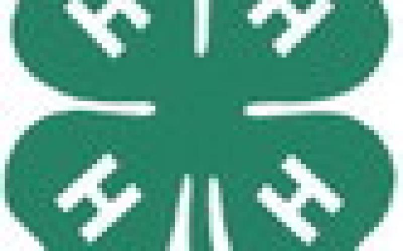 Gladwin County 4-H Fish Fry Fundraiser