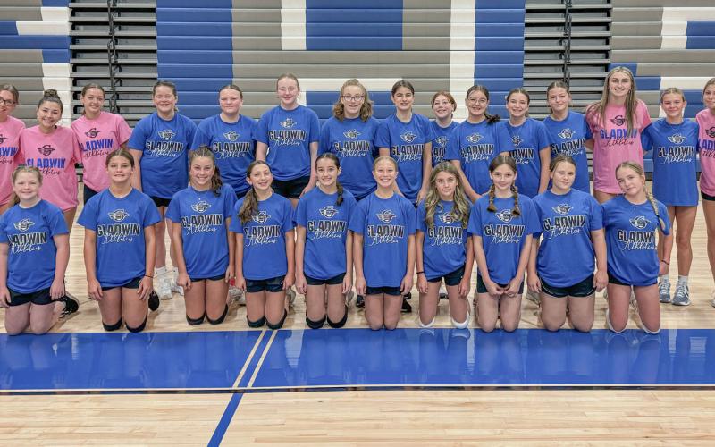 Gladwin holds annual basketball/volleyball camps