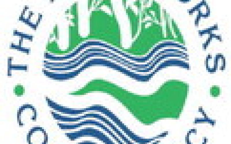 Cedar River stream sampling event upcoming