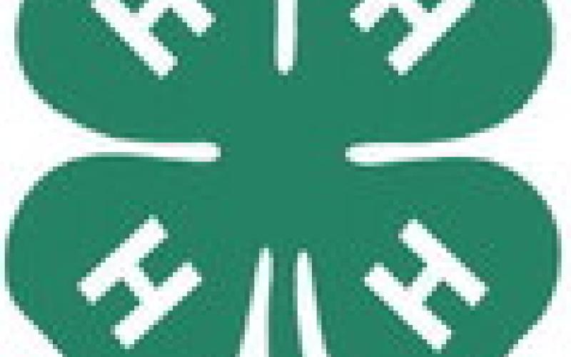 Gladwin County 4-H Fish Fry Fundraiser